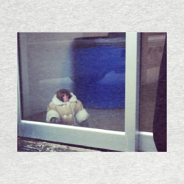 IKEA Monkey by FlashmanBiscuit